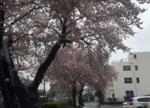 【SR-80S2交換】バランス釜のお取替工事【横浜市】