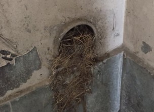 【原状回復工事】浴槽＆風呂釜のお片付け【川崎市宮前区の県営住宅でのお風呂の撤去処分】