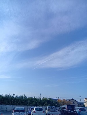 寒川神社で蛇発見！