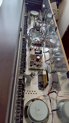 横から見た図